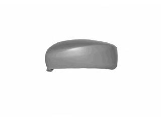 VAN WEZEL 1625842 -  Покрытие, внешнее зеркало